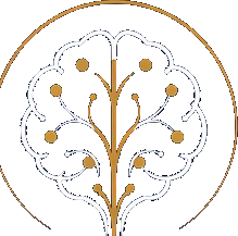 Símbolo do logotipo do Dr. Erion Junior de Andrade