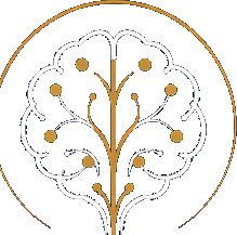 Símbolo do logotipo do Dr. Erion Jr de Andrade